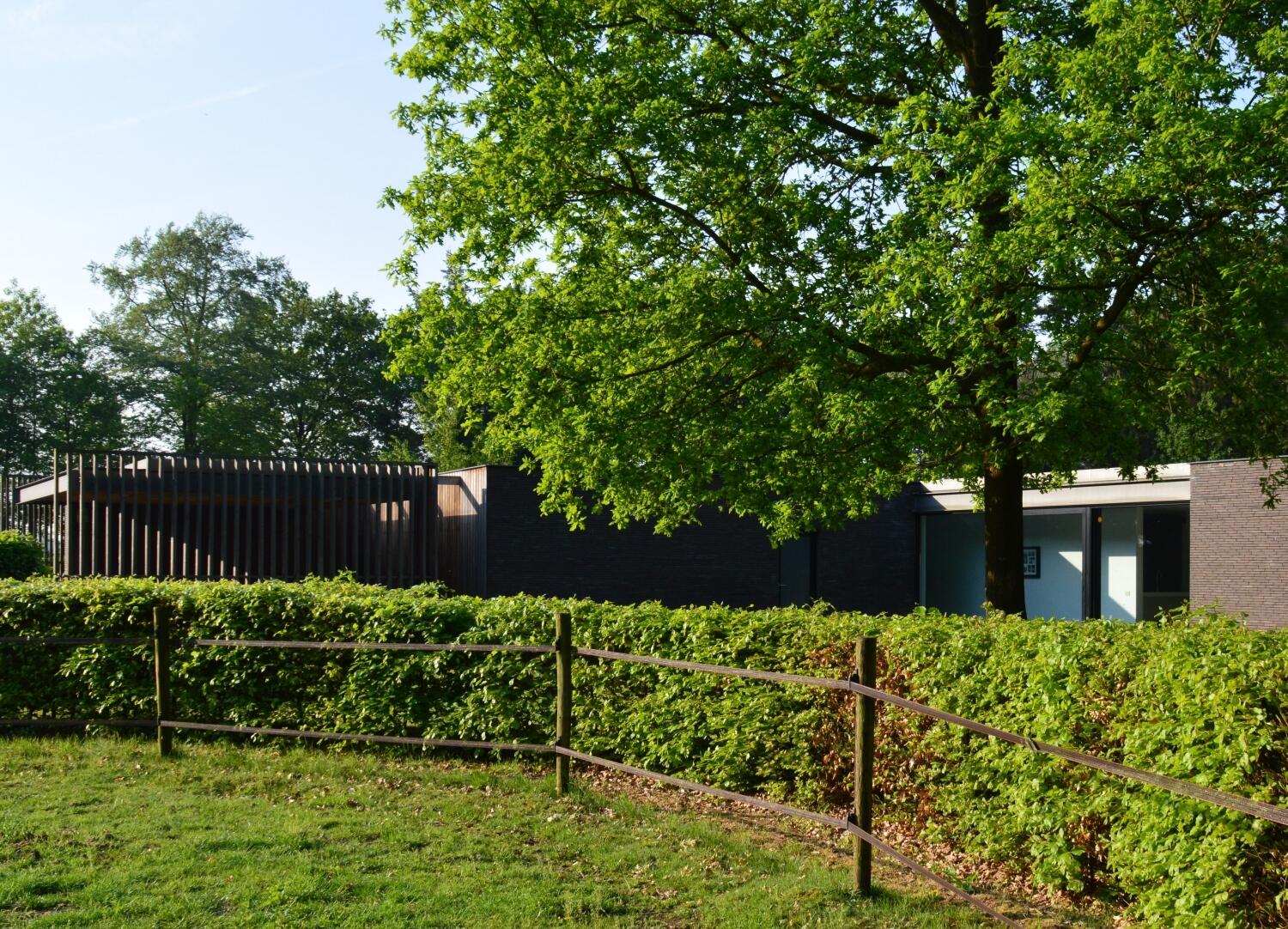 4 dsc0972