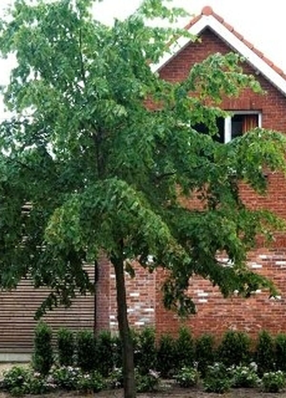 1 20120417164616