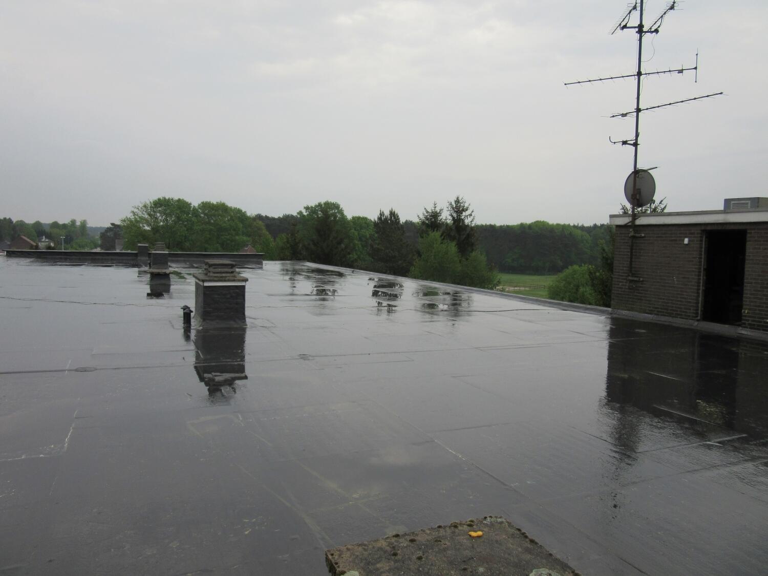4 img8977