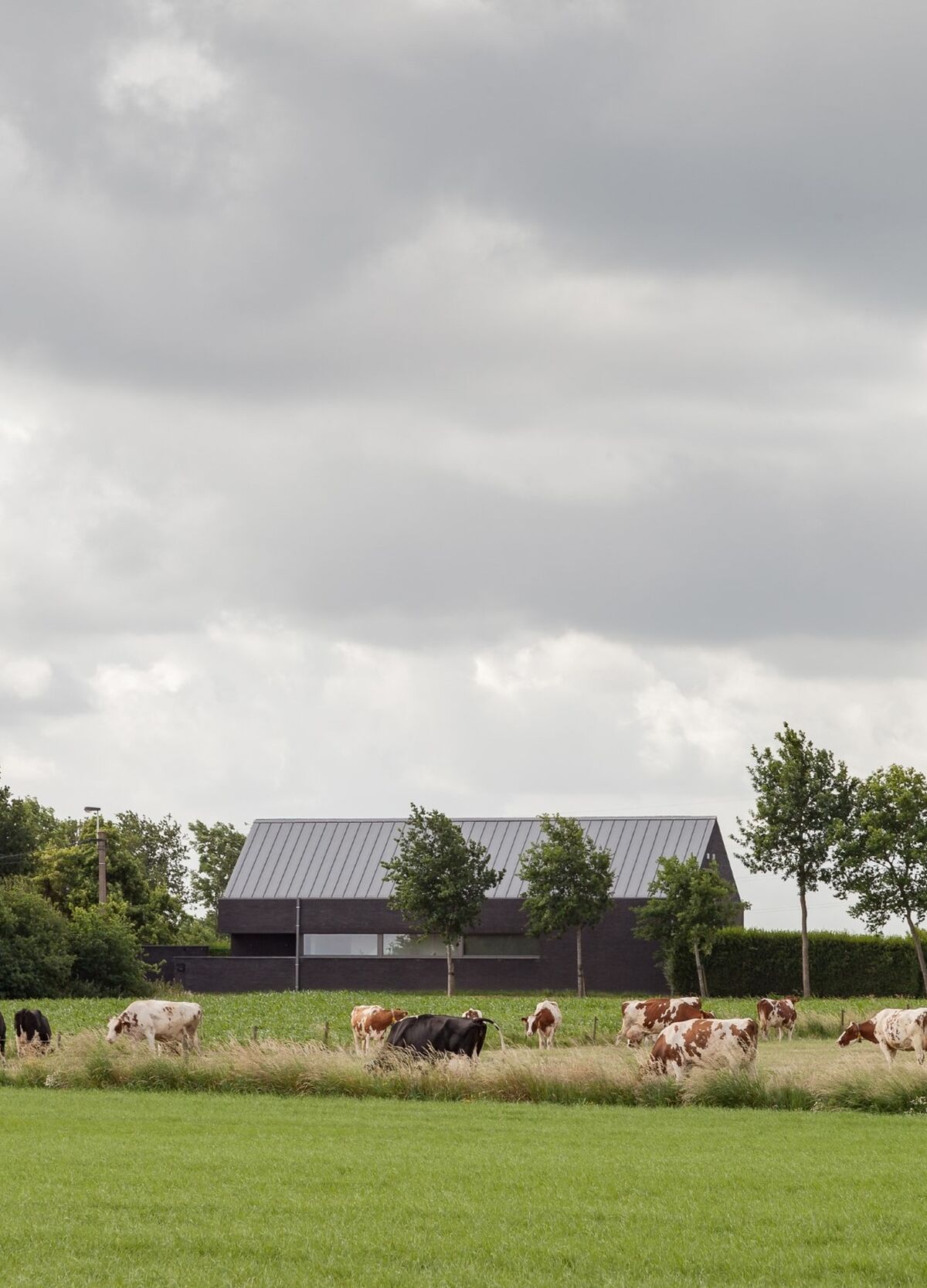 1 nieuwbouwagrarischgebied