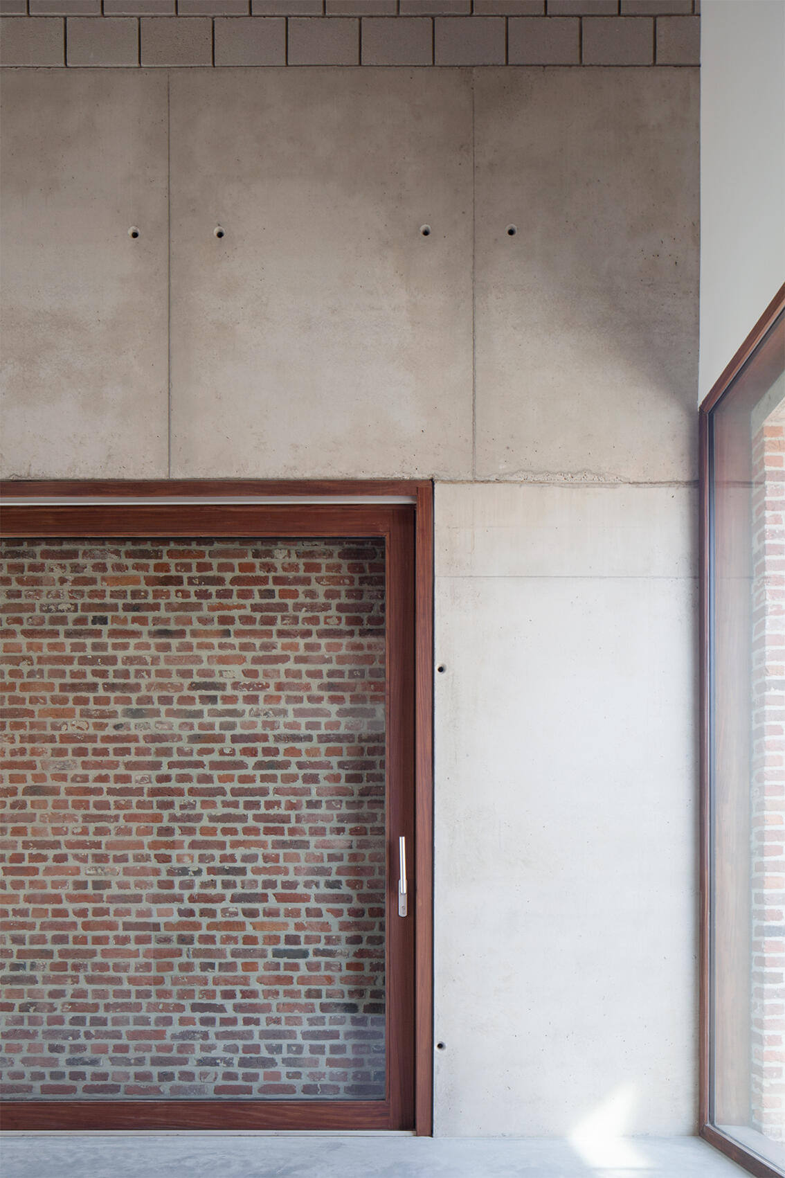 MARCEL HOND HOMBEEK 010web