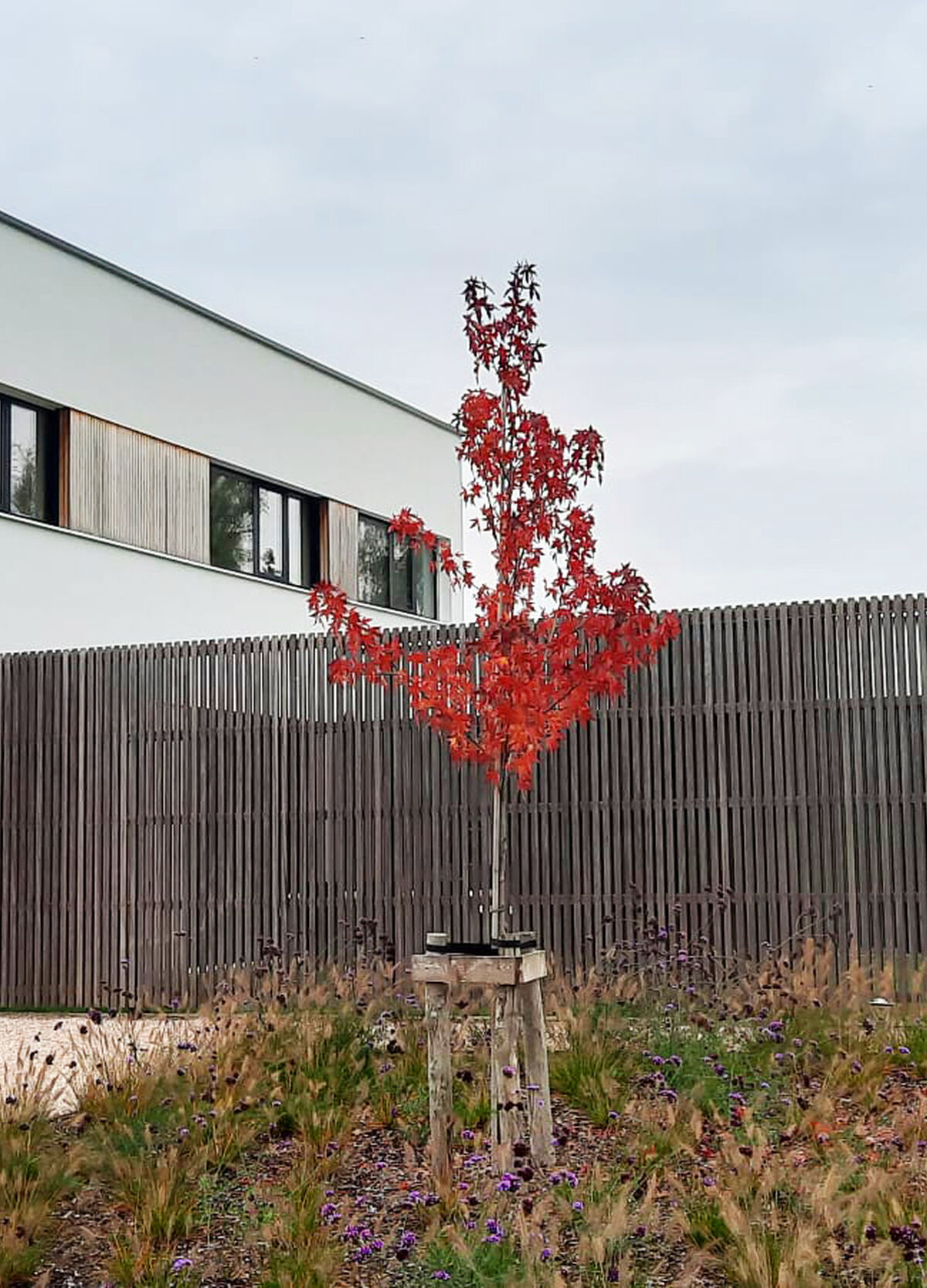 A FB01 a35aef34 bbf1 4885 8a72 feb30070e1ce