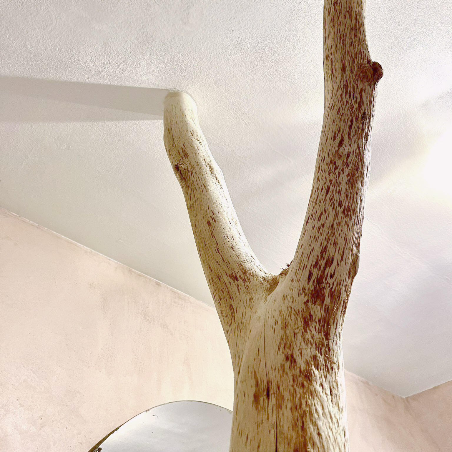 387507958 1322171525104022 48286376062536153 n copy