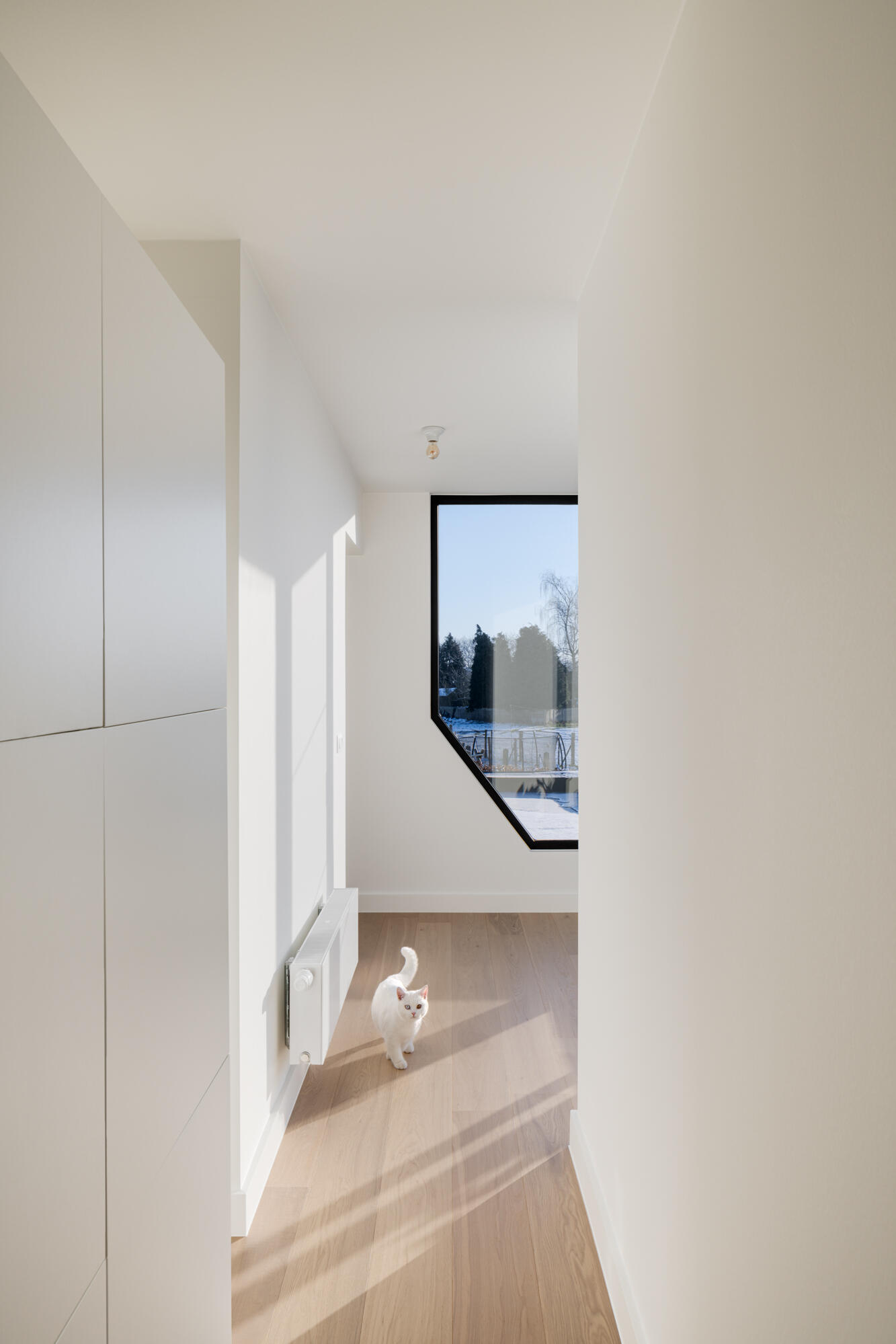 ARPA GAVERE WEB 1