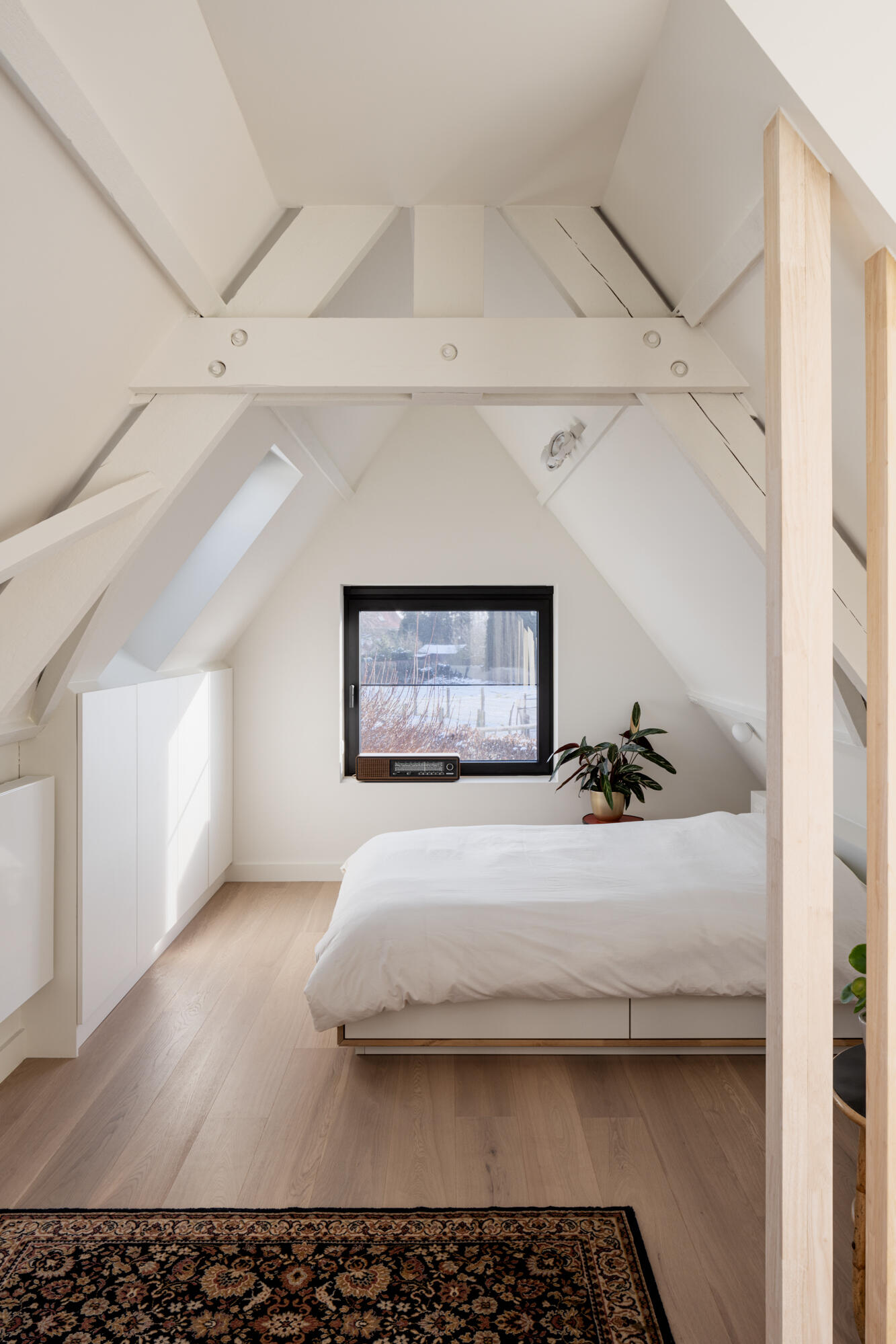 ARPA GAVERE WEB 3