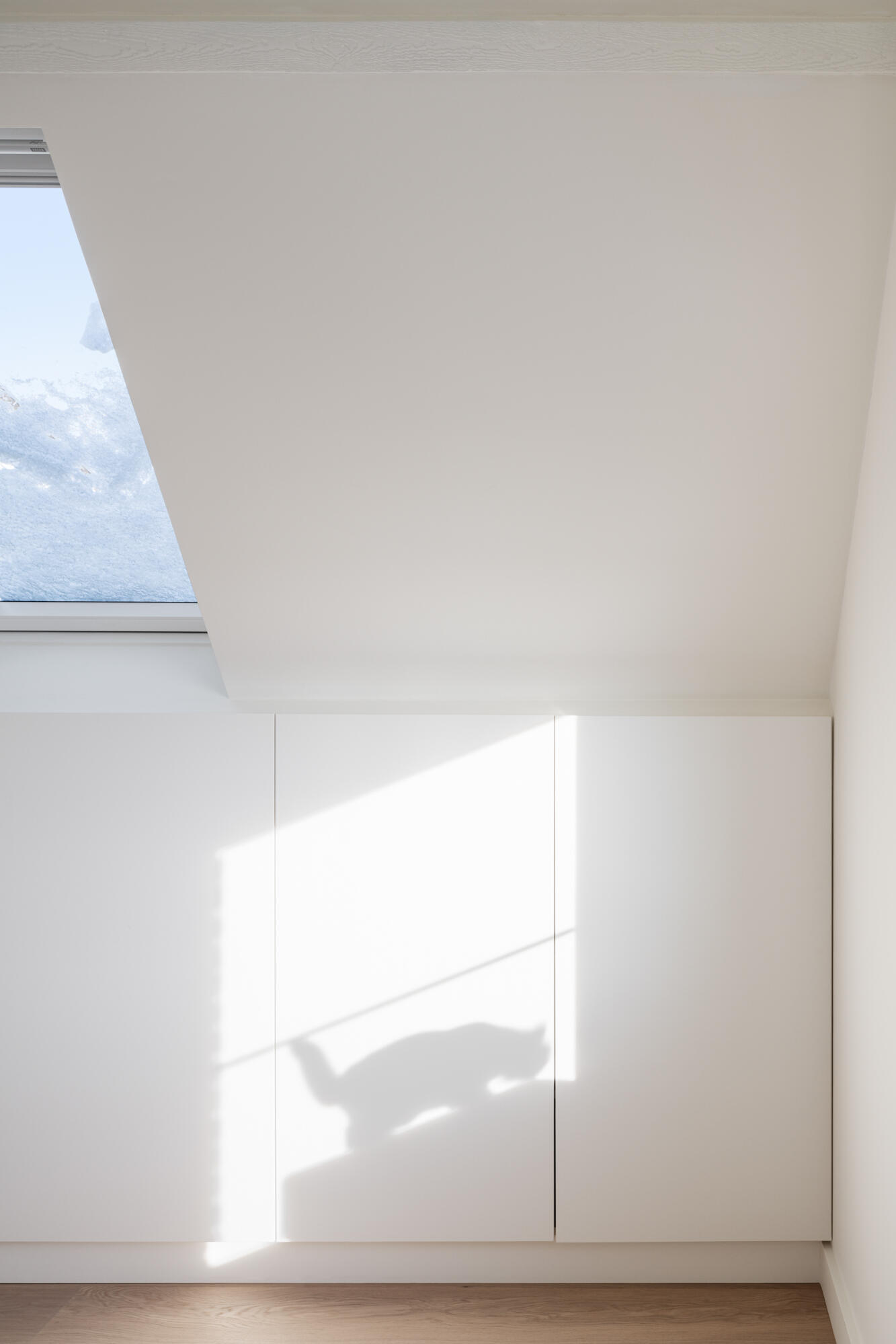 ARPA GAVERE WEB 4