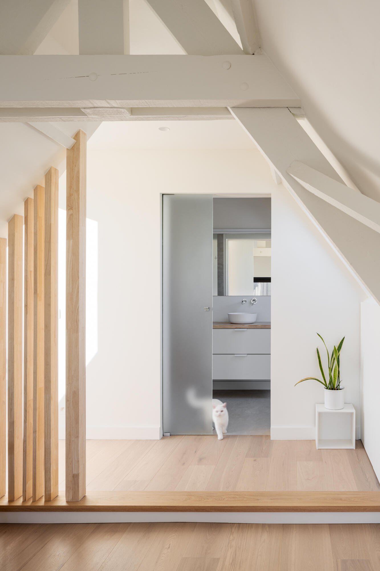 ARPA GAVERE WEB 5