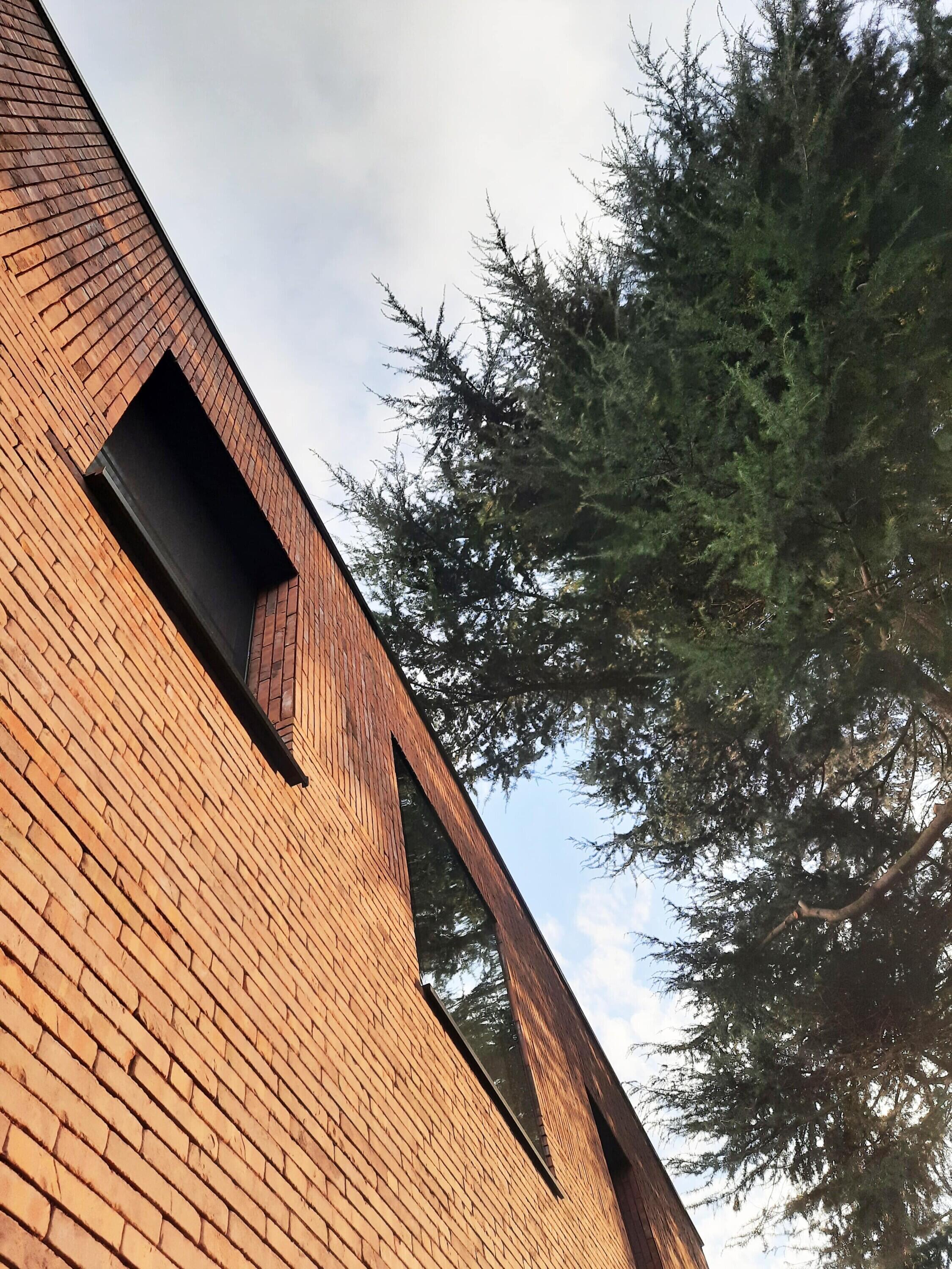 F 10 20250123 160553 B min