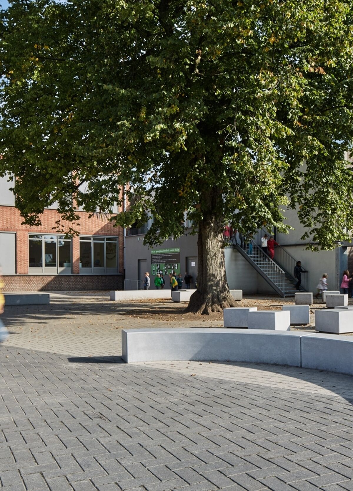 1 20150921tongerlotgrafiekje006lr