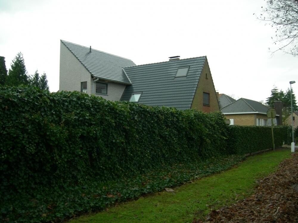 2 20121110163716