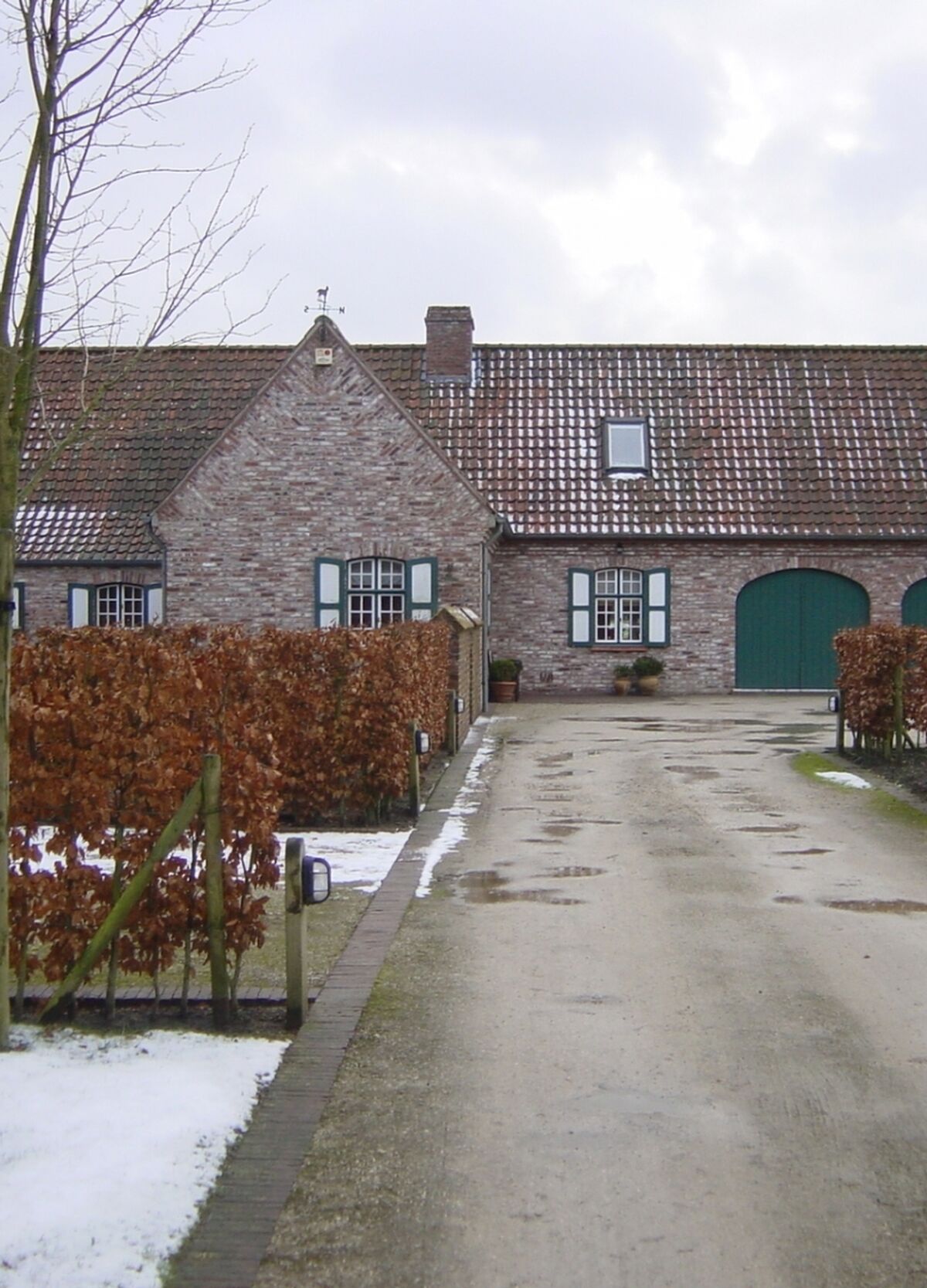 1 afbeelding156