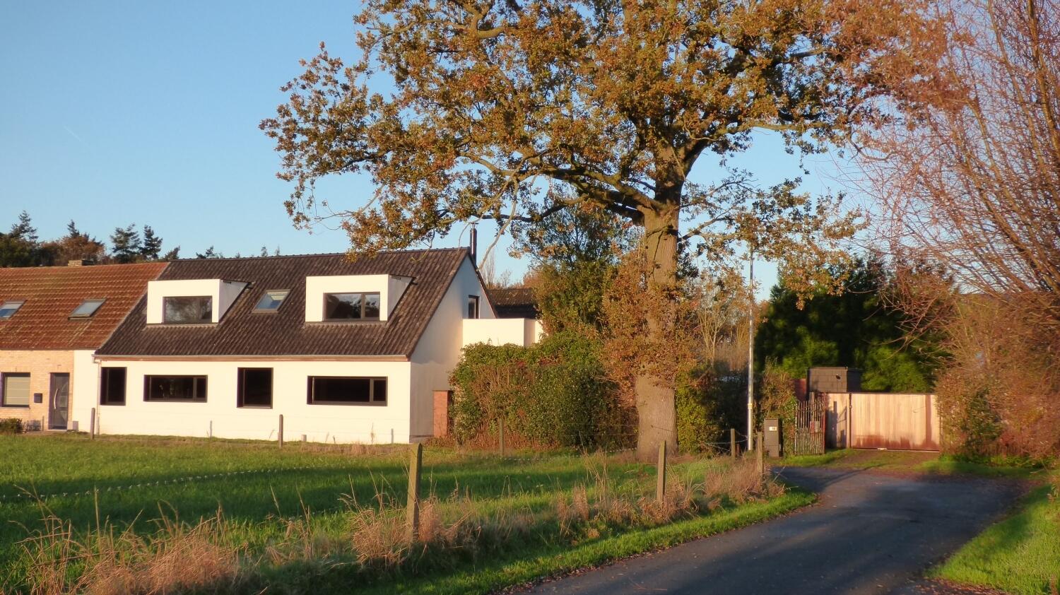 4 p1090281